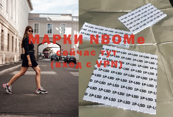 твердый Михайлов