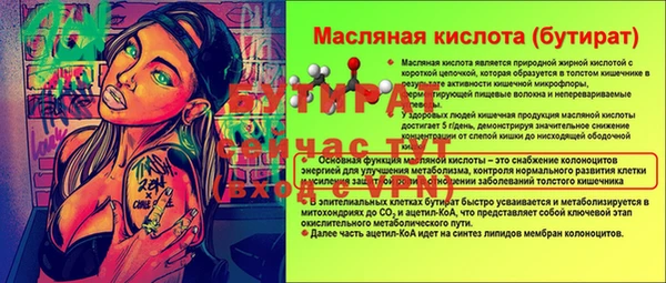 твердый Михайлов