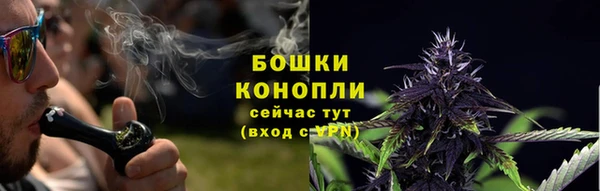 твердый Михайлов