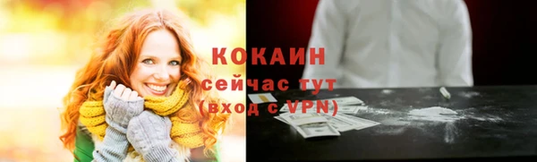 твердый Михайлов