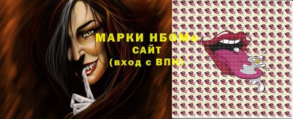 твердый Михайлов