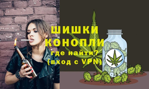 твердый Михайлов