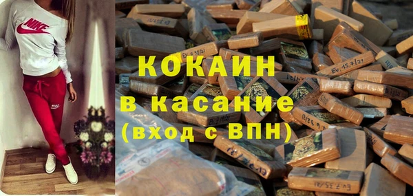 твердый Михайлов